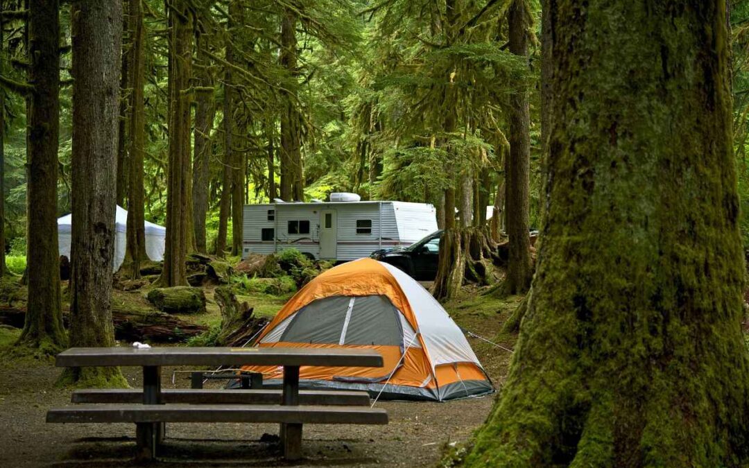 List Your Campground on the Dynamic Spot2Nite Marketplace